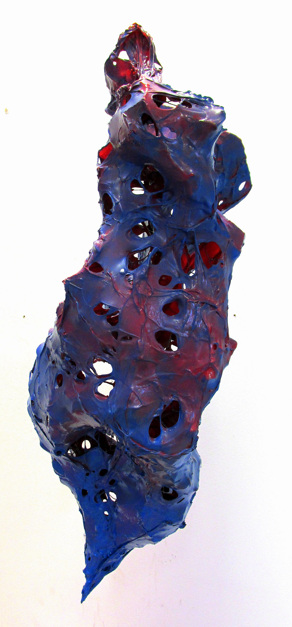 chicken wire, vacuumed plastic, spray paint