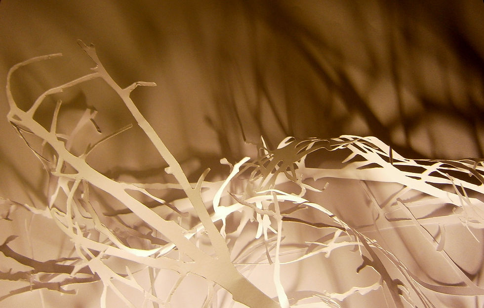 paper cut - shadow play