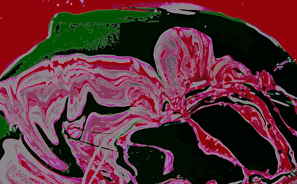 enamel on plastic photograph edit