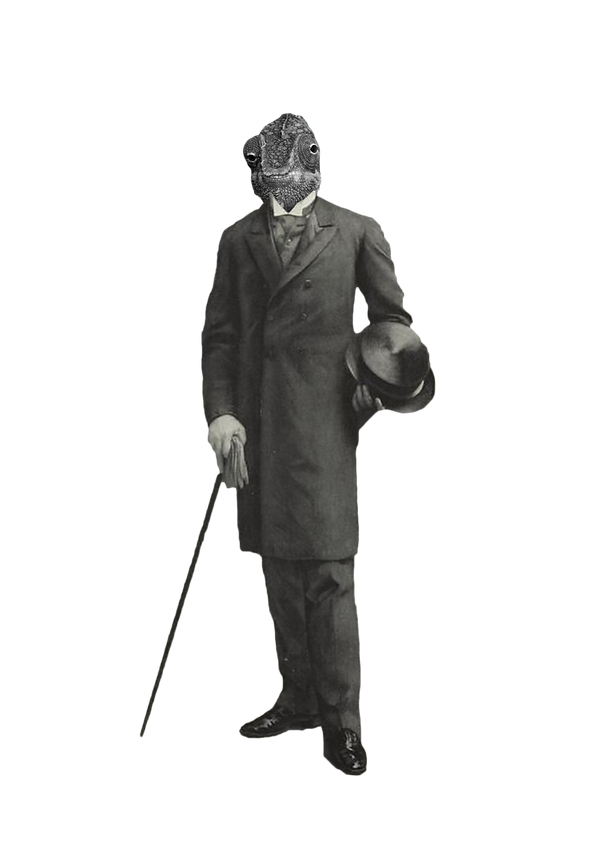 Untitled-1.png