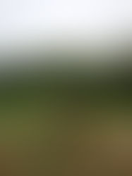 58 miles through New York City