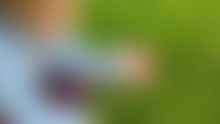 Practicing Mindfulness in Nature with Young Children