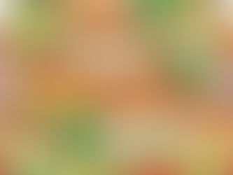 100万预算悉尼如何进入房市?买公寓还是别墅