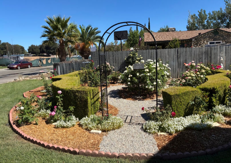 Landscape Updates around our Campus!