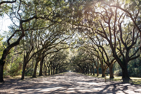 Screenshot 2023-07-27 at 8.56.14 AM.png