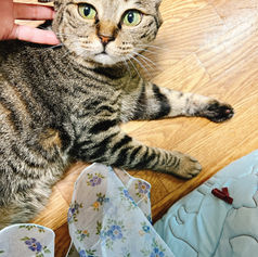 ラジフォレ収録