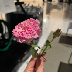 今日も元気です!