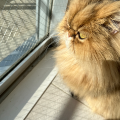 お元気ですか?✨