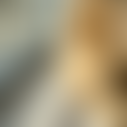 お元気ですか?✨