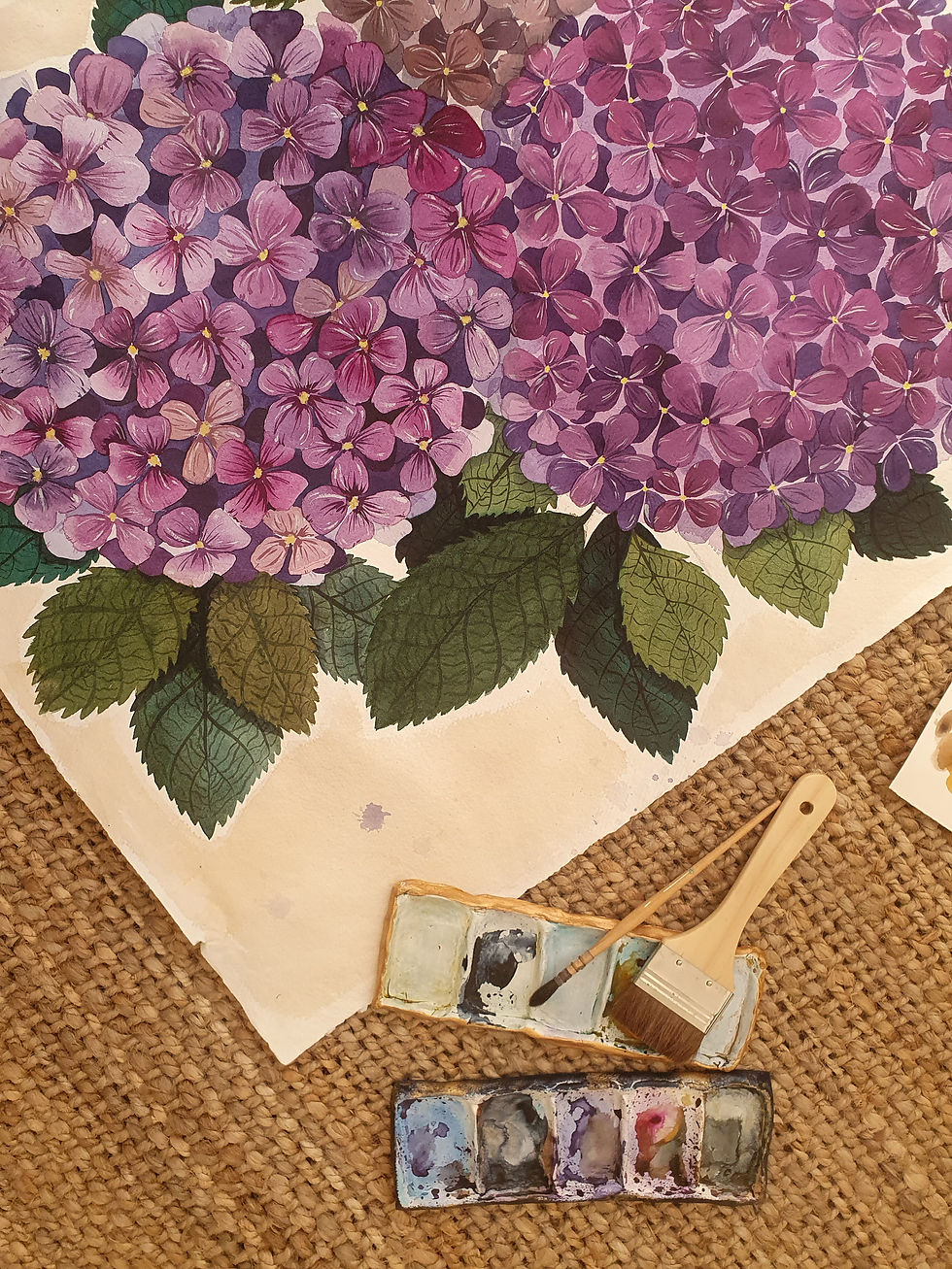 Thumbnail: Violet Hydrangea