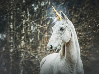 Be the Unicorn