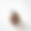 Thumbnail: Ornament set Fluffy / Chocolat