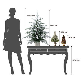 TT_SIZE_2508.jpg