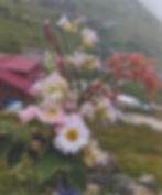 uset history_4x-100 copy.jpg