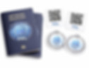 Artwork Passports The Fine Art Ledger Podcast on EU requirments under DPP_edited.jpg