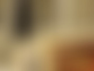 The Fine Art Ledger Art Collectors Obama Zanele Muholi Image