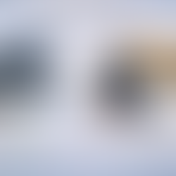 A car with an open hood and magnifier, artwork with a passport and magnifier. Text highlights provenance and authenticity of art records. Artwork Passports from The Fine Art Ledger Just like  a VIN Number  for Art.