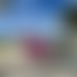 Untitled Art Fair Miami Beach 2025