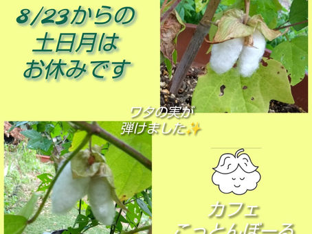 8/23からの土日月はお休みですm(__)m
