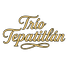 Trio Mariachi Tepatitlan