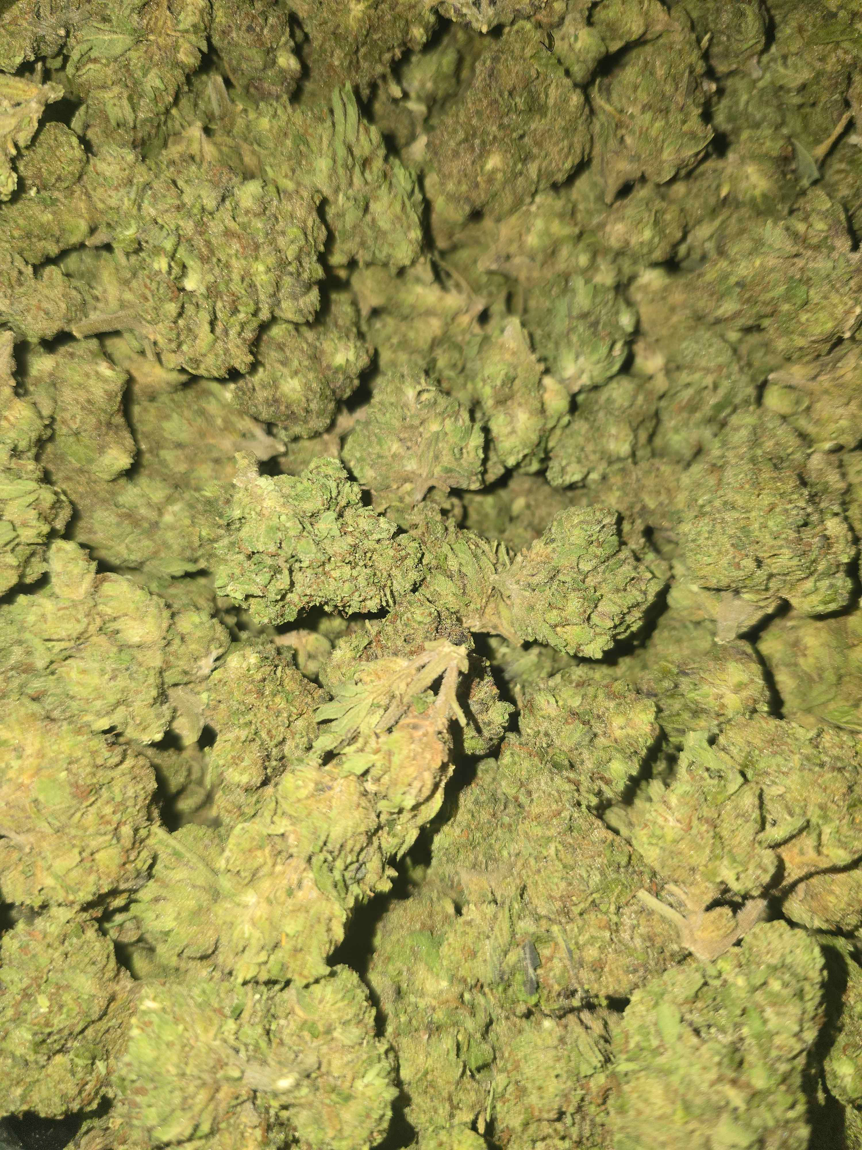 6g MIDS Gelato