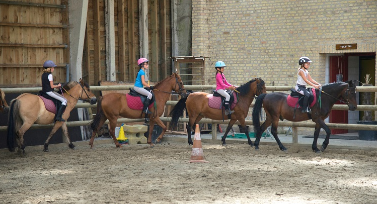 ecuries vvernaelde.png1