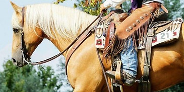 monta western-600x315w.jpg