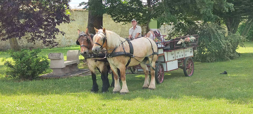 tout fer à cheval.jpg1