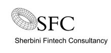 Sherbini Fintech Consultancy
