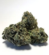 GREASE MONKEY_edited.jpg