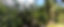 Neotropical_forest_CR_CM.jpg