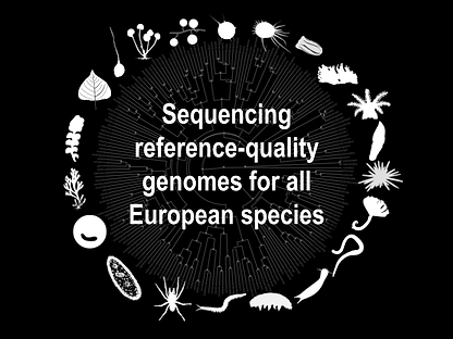 ERGA_image_circle_biodiversity.png