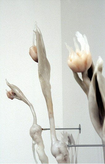 Wallflowers 2 detail