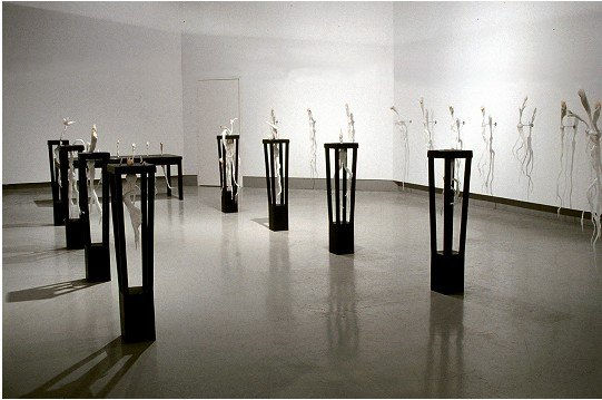 Still Life
Entry view