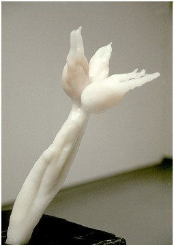 Small Table 5 detail