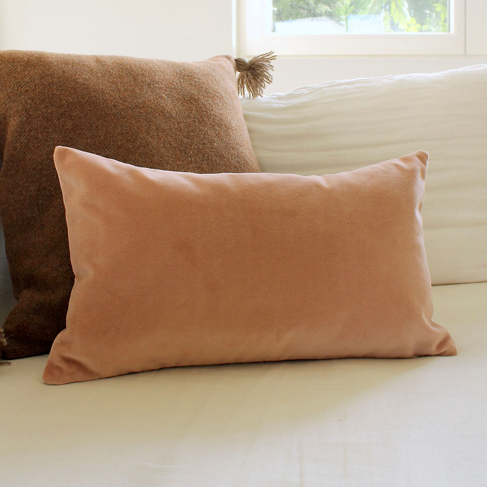 Coussin rectangle double face velours / lin