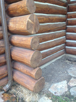 Stock Farm, Hamilton