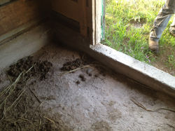 horse stable package