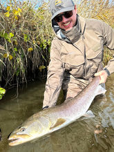 Angler holding a large Japanese Taimen (Parahucho perryi) in a shallow river on a bright autumn day in Hokkaido, surrounded by golden reeds and clear skies.