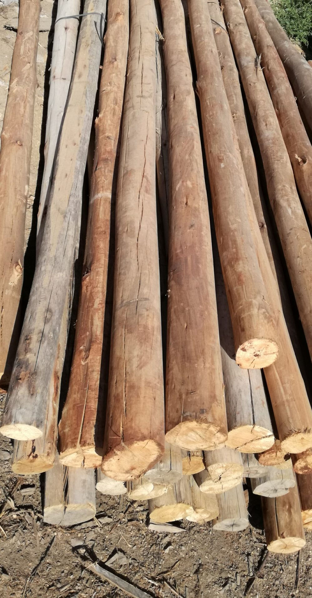 Postes, varas y pérgolas