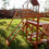 Miniatura: Juego Nro. 5