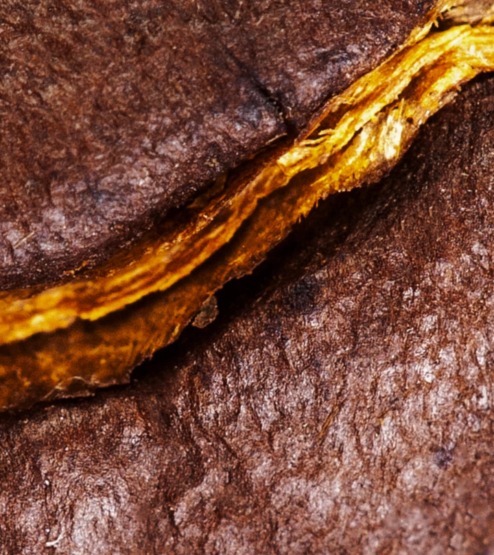 Closeup of coffee bean
