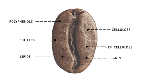 Kaffe Bueno Coffe Bean Composition
