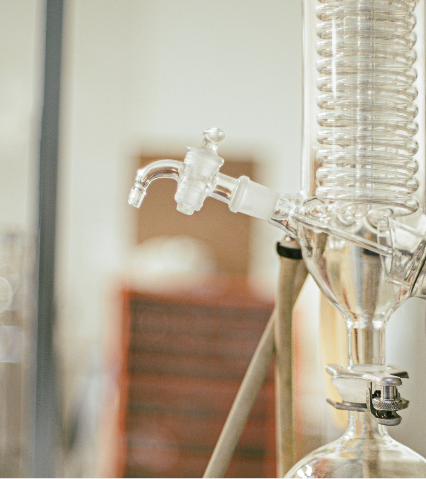 kaffe bueno lab image
