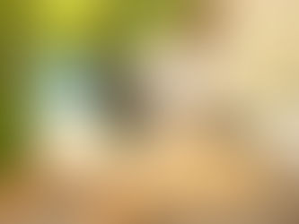 diode laser system:the golden standard for permanent hair removal