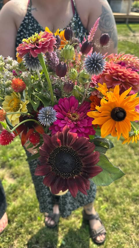 Pick Flowers with Ania