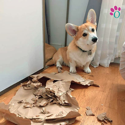 FB_IMG_1727592278445 (1).jpg