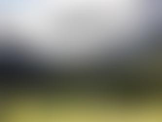 What the Spring Summer 2025 Weather Forecast means for Mānuka & Honey Producers in the North Island