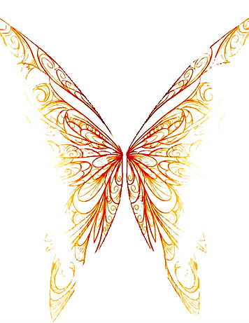 cocoa butterfly