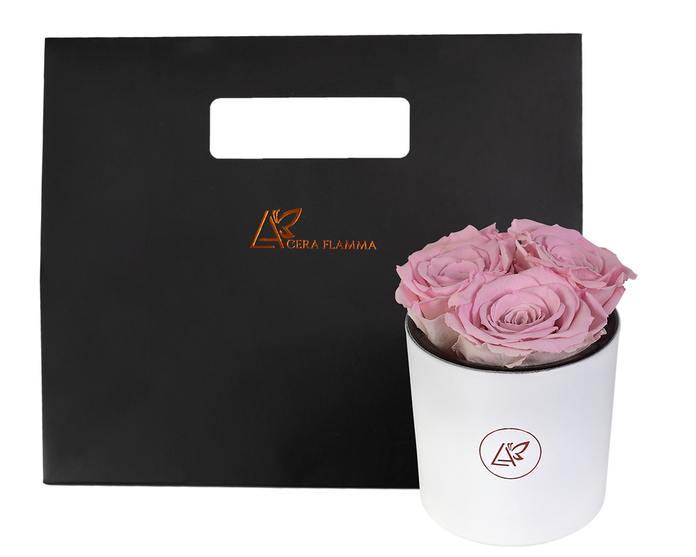 Миниатюра: Infinity Tre Roses